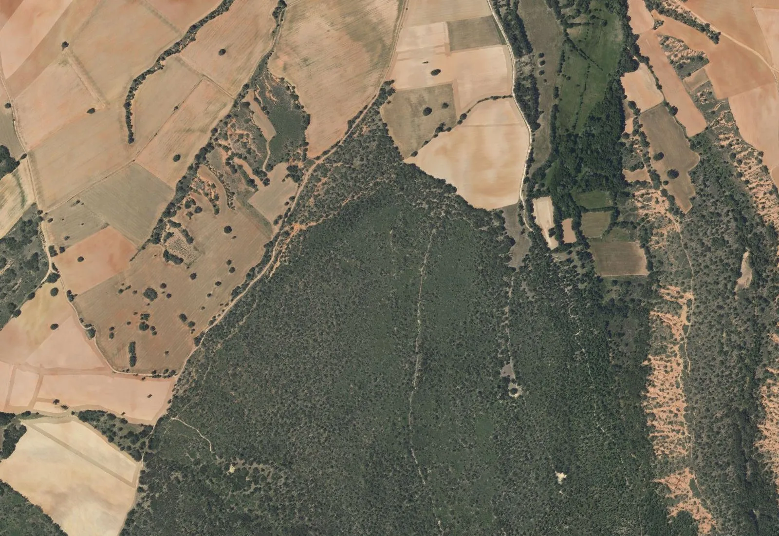 Vista aérea del monte de roble de Aldealázaro: el arbolado cerrado frente a las tierras de labor y las cárcavas rojas