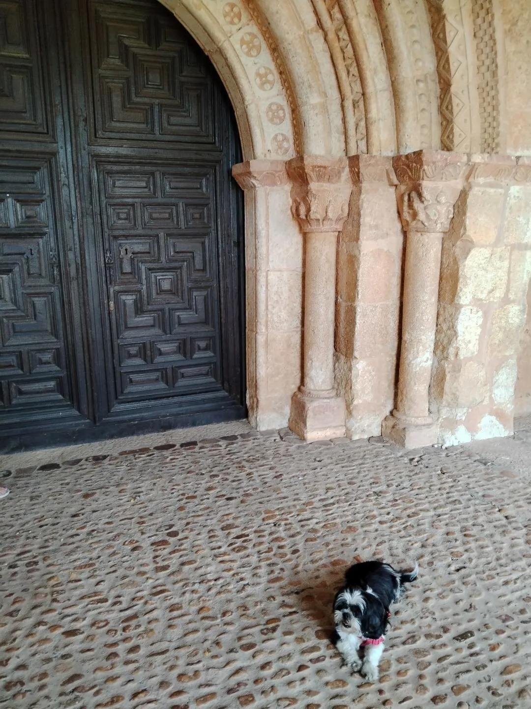 La portada románica, con sus arquivoltas y los capiteles de las columnas, la puerta de madera labrada y el suelo empedrado del pórtico, con un perro pequeño tumbado