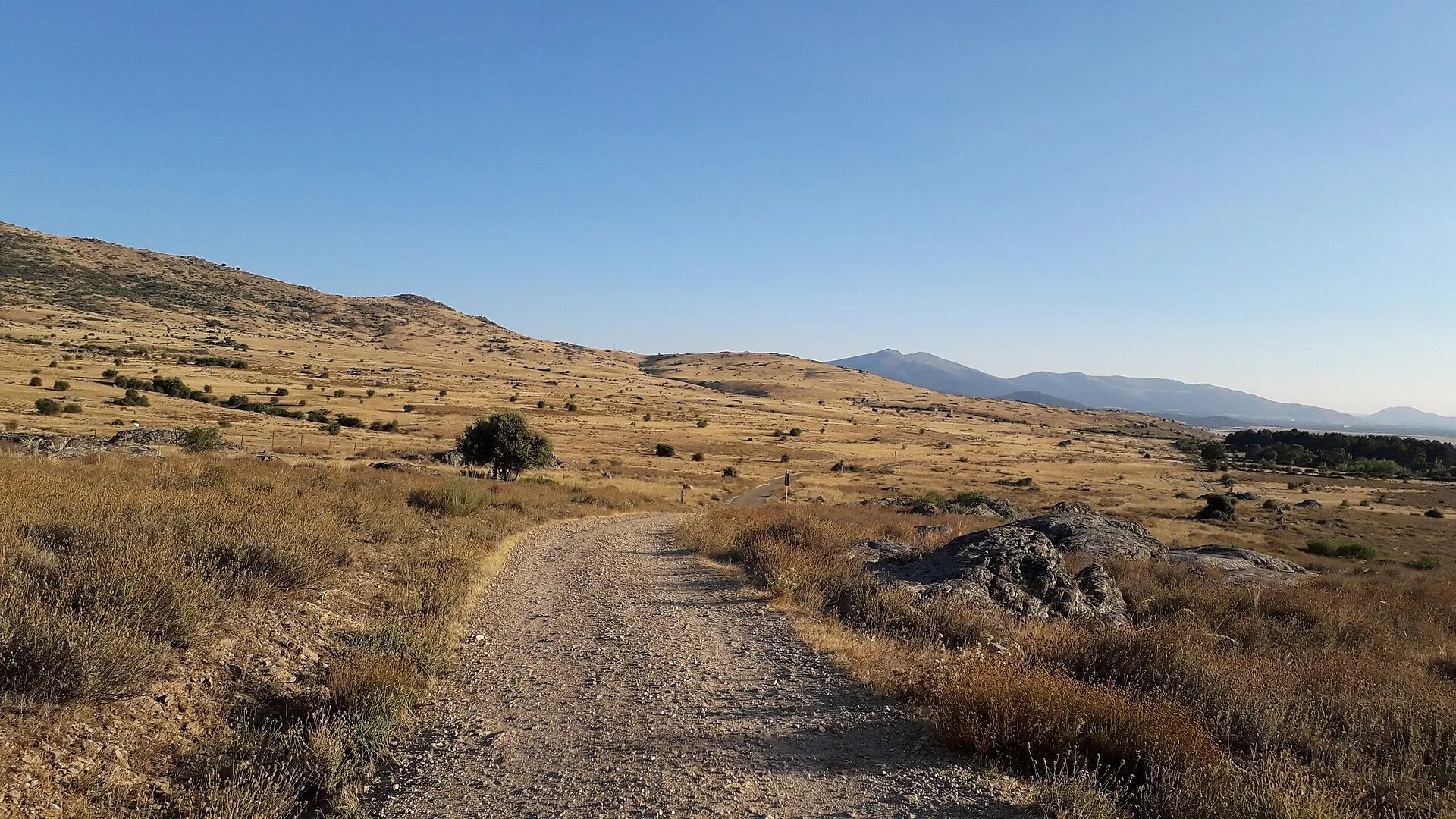 La Cañada Real Soriana Occidental: un camino ancho de tierra entre pastos secos, con la sierra al fondo