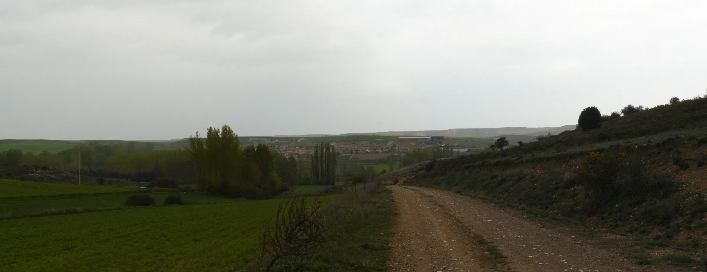 Aldealengua de Santa María al fondo, entre chopos, desde un camino de tierra que baja entre sembrados y monte