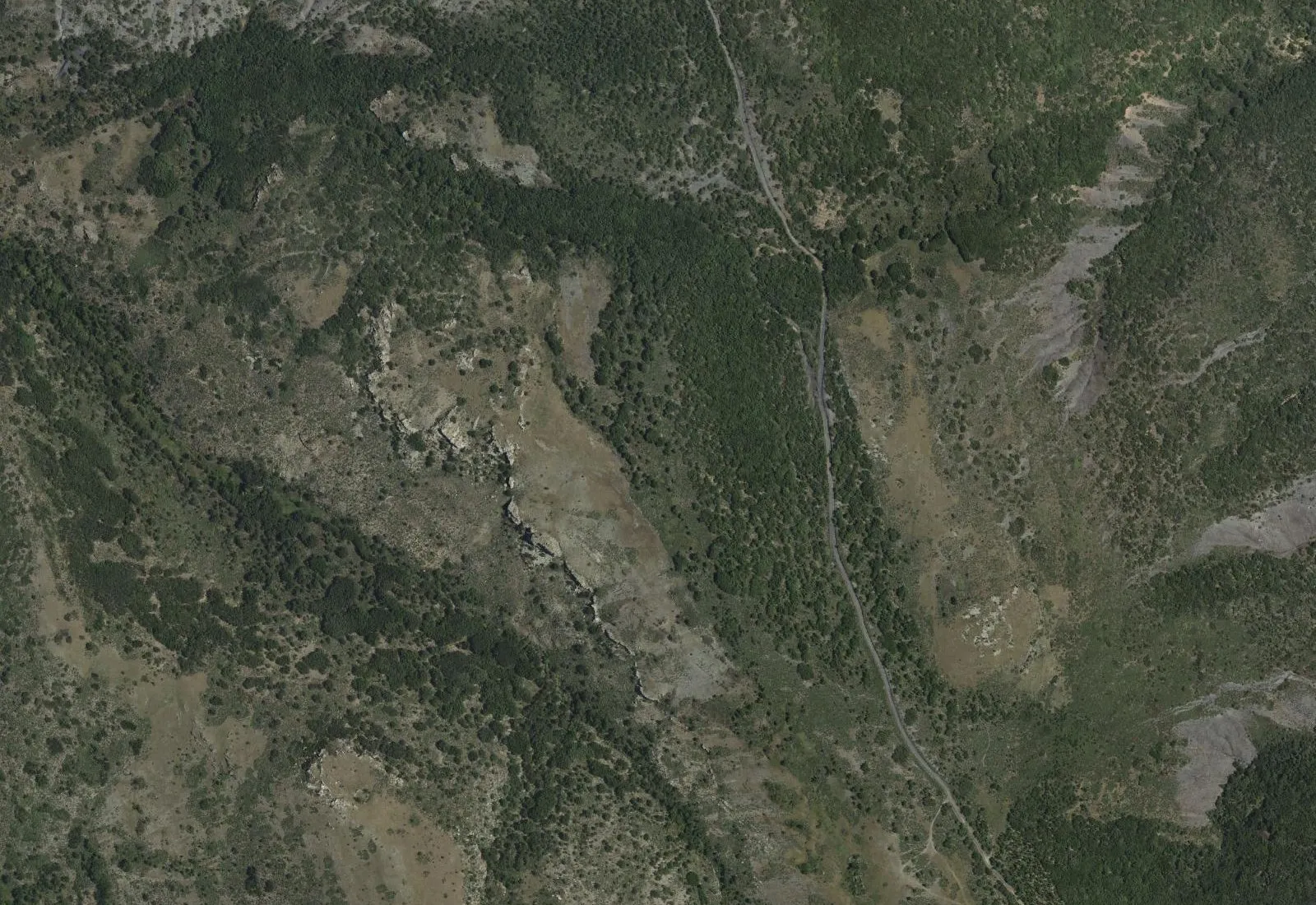 Vista aérea del monte Mingo-hierro, al sur de Serracín: robledal, claros de pasto y el valle del arroyo