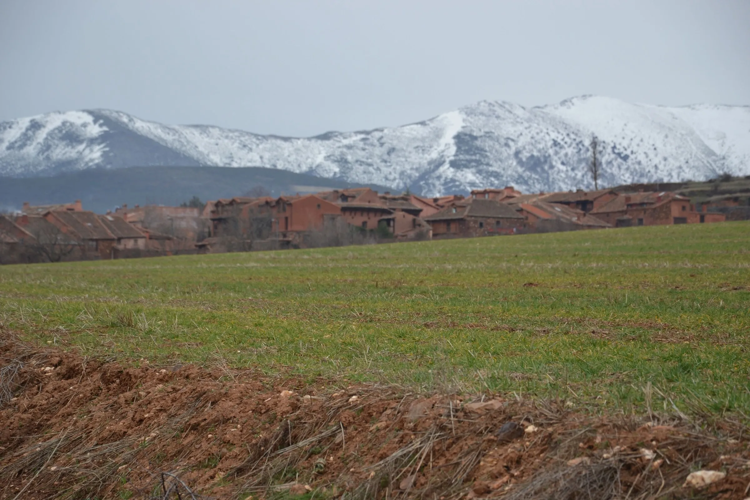 El caserío rojo de Madriguera sobre los prados verdes, con la nieve todavía en la sierra
