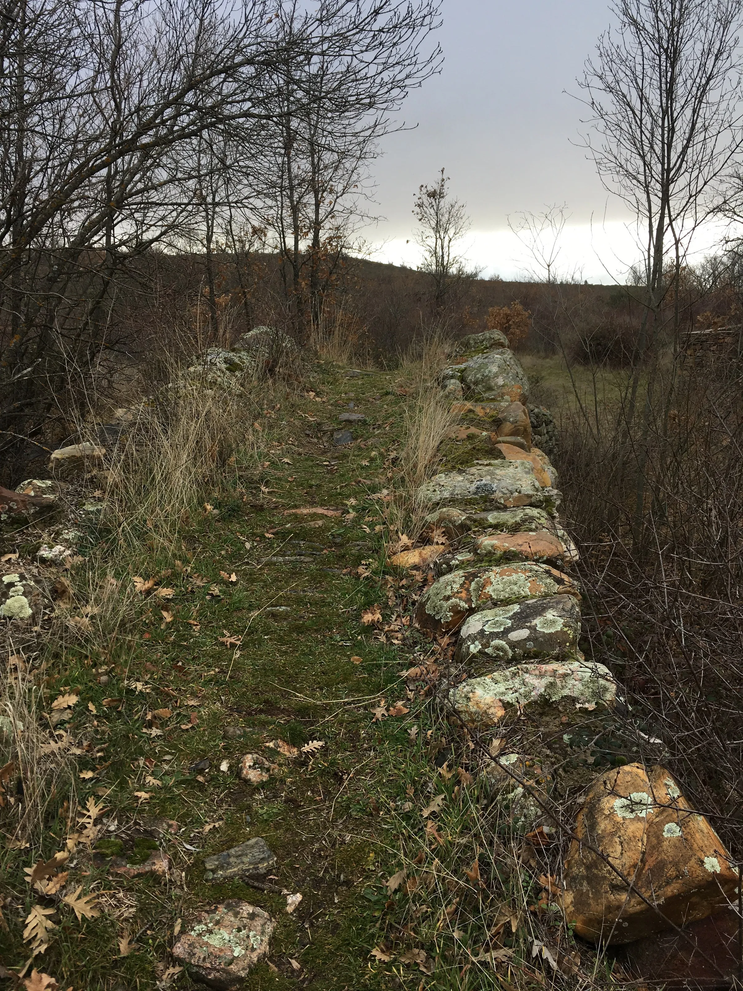 El tablero del puente de cantería de Villacorta, con el pretil de piedra cubierto de líquenes y la hierba crecida encima