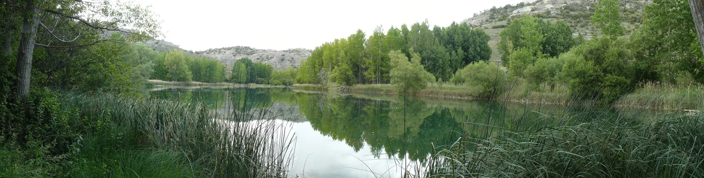 La laguna de Somolinos en panorámica, con el cerro y el hayedo alrededor